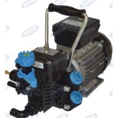 2-diaphragm electric pump with electric motor for irrigation 91559 | Newgardenstore.eu