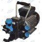 2-diaphragm electric pump with electric motor for irrigation 91559