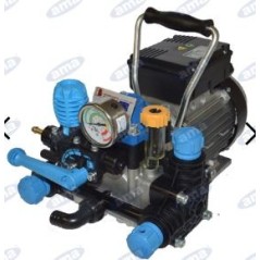 2 diaphragm electric pump with electric motor for irrigation 91560 | Newgardenstore.eu