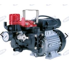 Elektrische Pumpe AR 252EM mit einphasigem Elektromotor für die Bewässerung 34164 | Newgardenstore.eu