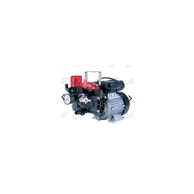 AR 252EM electric pump with single-phase electric motor for spraying 34164