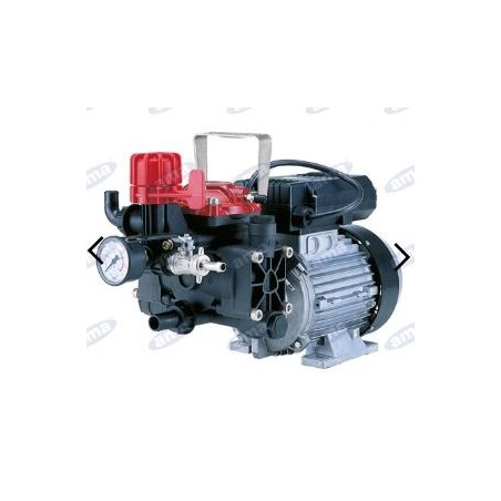 AR 252EM electric pump with single-phase electric motor for spraying 34164 | Newgardenstore.eu