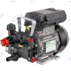 AR DUE EM electric pump with electric motor for spraying 17267 | Newgardenstore.eu