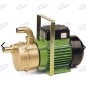 Electric transfer pump with 2-way self-priming handle 01088