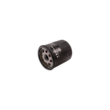 603138 FILTRE O 49065-7010/2071 KM023649 8430454 ORIGINAL HUSTLER | Newgardenstore.eu
