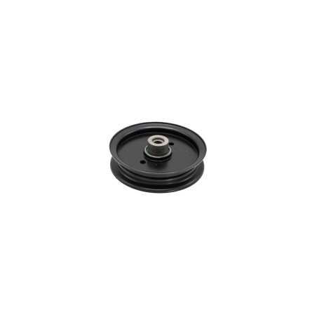 607479 POULIE À LAME RAPTOR-FASTRAK 8431215 ORIGINAL HUSTLER | Newgardenstore.eu