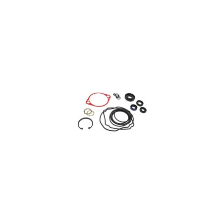 780718 PG/PJ642 KIT DE RÉPARATION DE POMPE *70525 8430447 HUSTLER ORIGINAL | Newgardenstore.eu