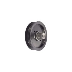 604219 RPTR DASH PULLEY *usa 126123 8430582 ORIGINAL HUSTLER | Newgardenstore.eu