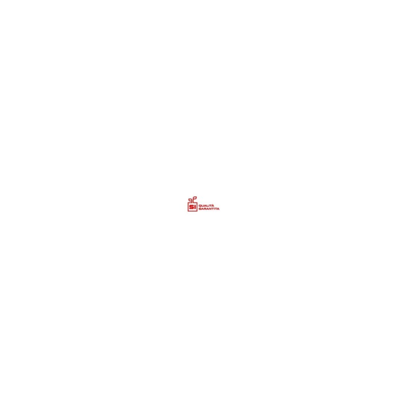262579 FLYWHEEL CASE M45F 8470679 ORIGINAL MARUYAMA