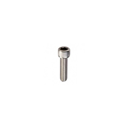 560542 SCREW TBEI M6x20 MX36E 8472858 ORIGINAL MARUYAMA | Newgardenstore.eu