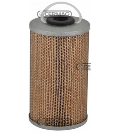 Filtro combustible motor máquina agrícola sumergida SLANZI MOTORS DVA 2000 - 2200 | Newgardenstore.eu