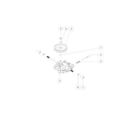 Arandela plana (grande) 10 O89-1713-100002 ORIGINAL OREC | Newgardenstore.eu