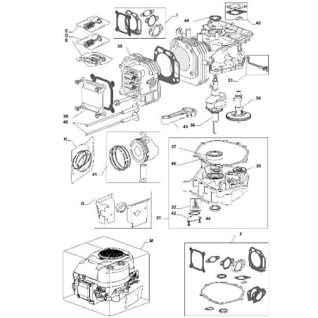 Despiece del motor del tractor de césped CASTELGARDEN TRE 701 GGP | Newgardenstore.eu