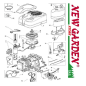 Exploded view engine cutaway series three lawn tractor TRE 801 GGP CASTELGARDEN