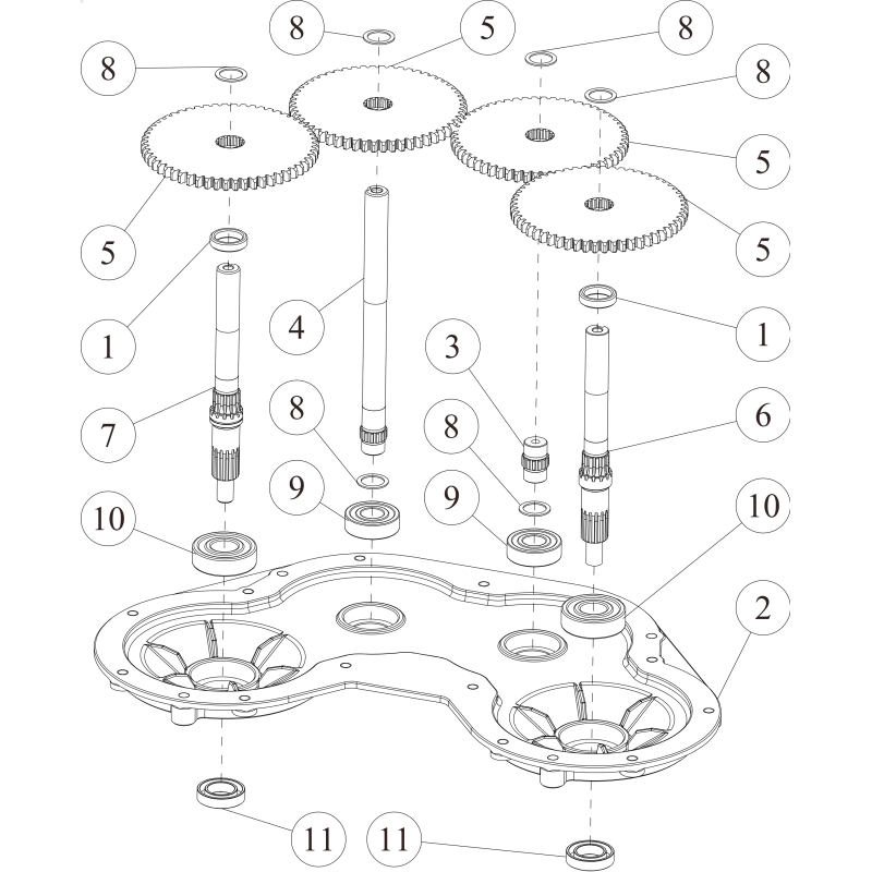 Engranaje 56T O0360-51600 ORIGINAL OREC