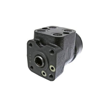 31233 VALVULA DE DIRECCION ORBITROL HVHP 8552280 ORIGINAL ETESIA | Newgardenstore.eu