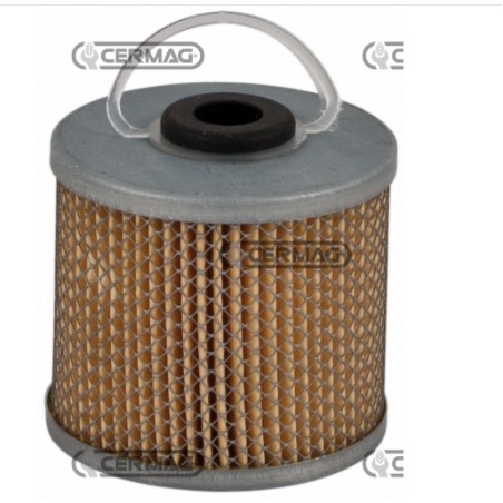 Filtro de combustible para motor de máquina agrícola FENDT F 12 HL - F 18 G - F 20 GH | Newgardenstore.eu