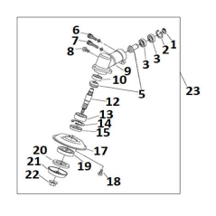 Paraolio 17x32x7 AGR2602043 ORIGINALE MGF