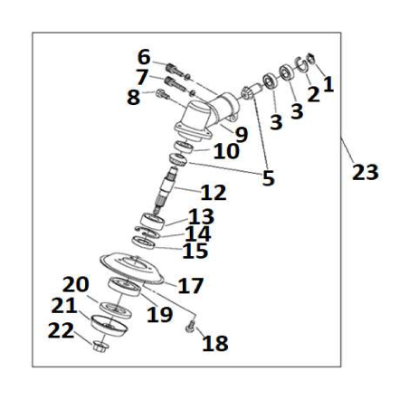 Joint d'huile 17x32x7 AGR2602043 ORIGINAL MGF | Newgardenstore.eu