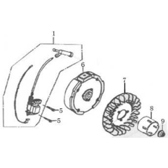 Original MGF AGR8210570 electronic coil | Newgardenstore.eu