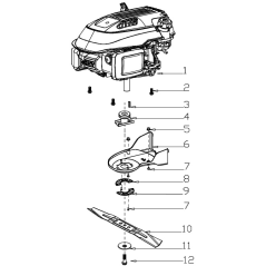 Riemenabdeckung AGR8203840 ORIGINAL MGF | Newgardenstore.eu