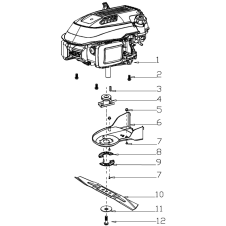 Coperchio cinghia AGR8203840 ORIGINALE MGF | Newgardenstore.eu