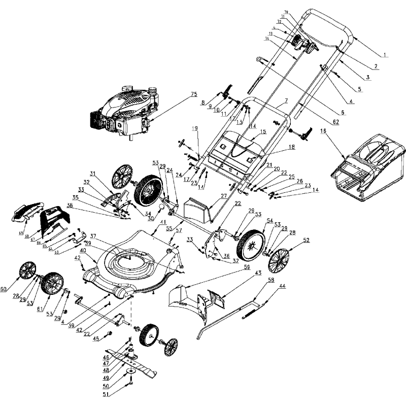 Bouchon de paillis original MGF AGR8000270