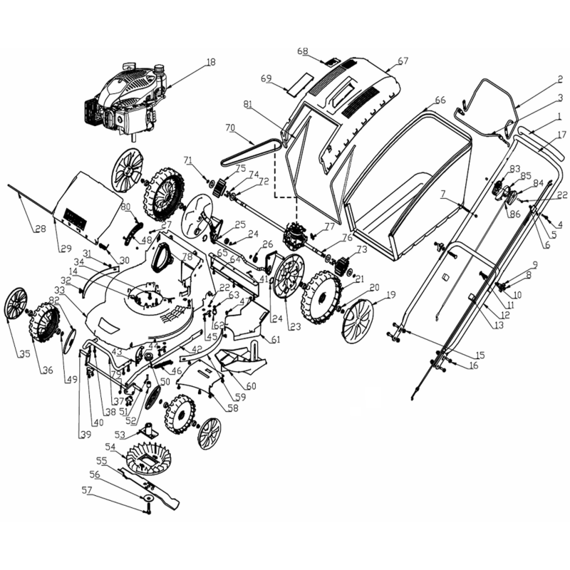Cache-courroie AGR8002590 ORIGINAL MGF