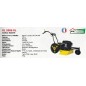 Falciatutto RL 2006 RL 53 cm SERIE ROQUES ET LECOEUR con motore RV 170 OHV