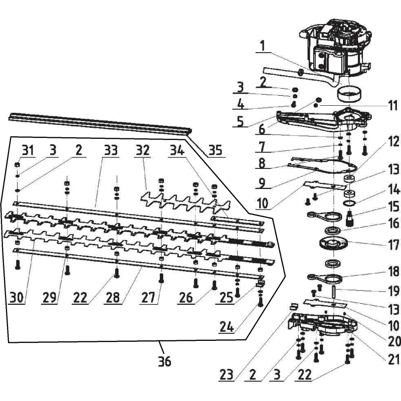 Schraube M6x22 AGR2451080 ORIGINAL MGF