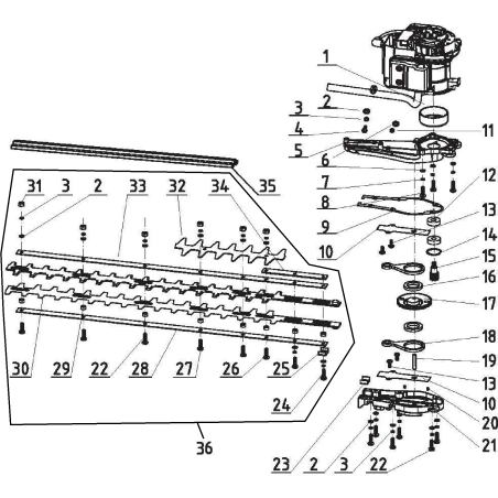 Plug 6x35 AGR2451190 ORIGINAL MGF | Newgardenstore.eu
