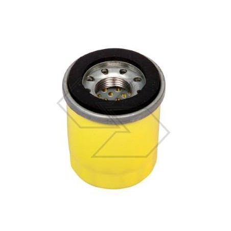 Filtro de aceite BRIGGS&STRATTON para cortacésped 121Q72 121S72 | Newgardenstore.eu