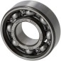 Rodamiento 6202-C-C3 (TT1A646034770) 1A646034790 GENUINE TUFF TORQ