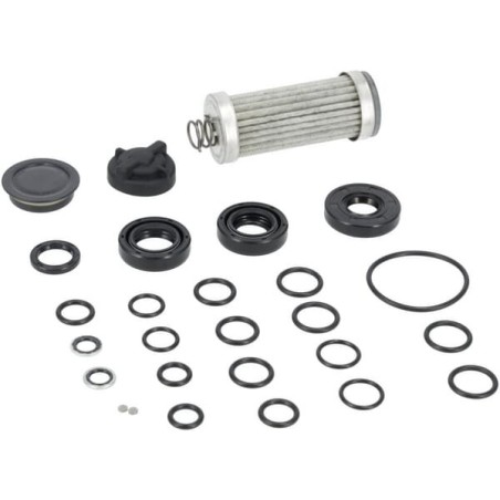 Reparatursatz (ohne Öl und Dichtmittel) 1A646099220DA ORIGINAL TUFF TORQ | Newgardenstore.eu
