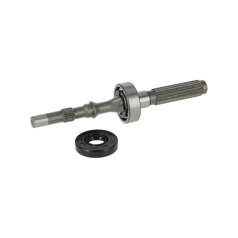 Set albero pompa/cuscinetto 1A646099970 ORIGINALE TUFF TORQ