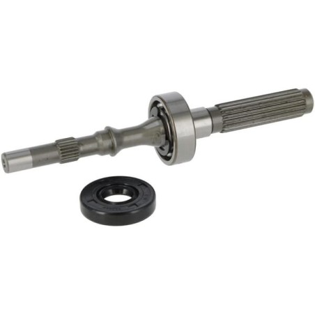 Ensemble arbre/roulements de pompe authentique TUFF TORQ 1A646099970 | Newgardenstore.eu