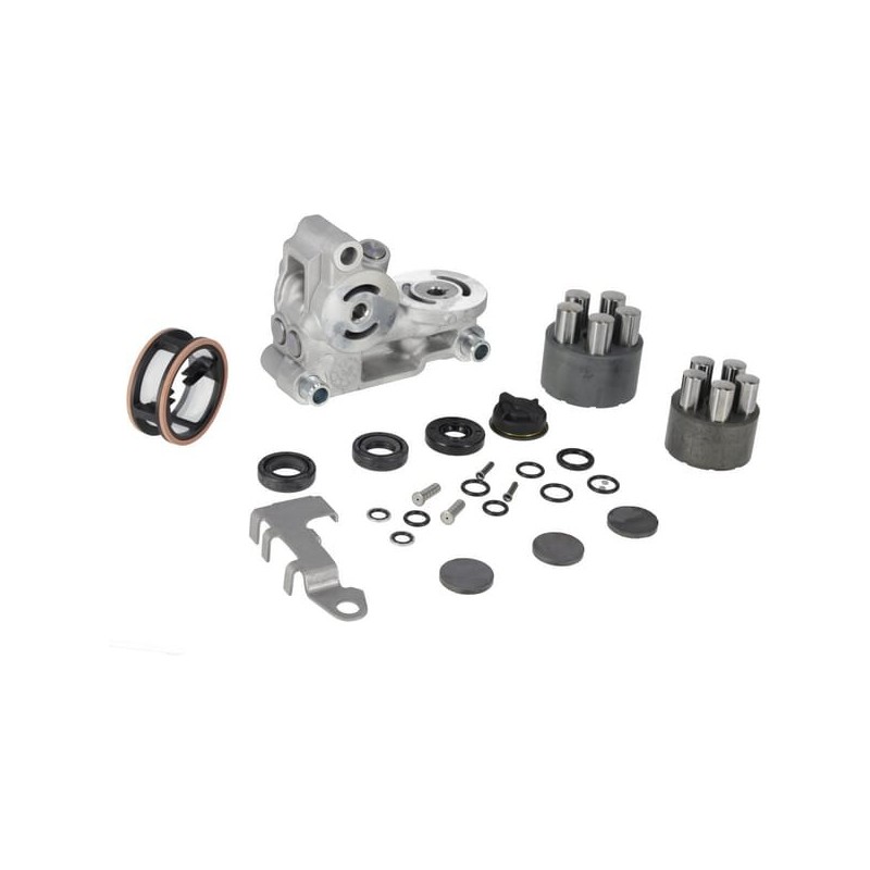 Repair Kit (without oil or sealant) 1A646098280DA GENUINE TUFF TORQ