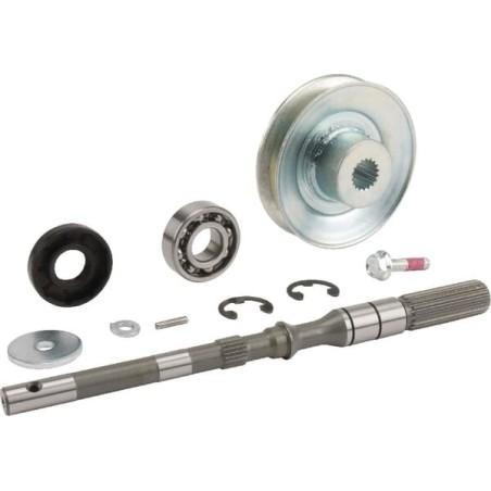 Albero pompa, set 187Q0399950 ORIGINALE TUFF TORQ | Newgardenstore.eu