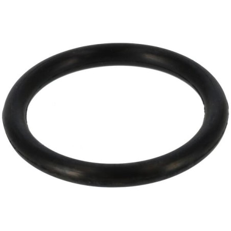 O-ring 1015 187K0824940 ORIGINALE TUFF TORQ | Newgardenstore.eu