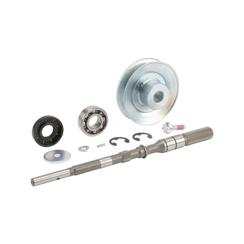 Albero-Pumpe, Set 187Q0399990 ORIGINAL TUFF TORQ