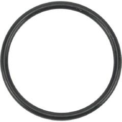O-Ring s26.0 24341000260 ORIGINAL TUFF TORQ | Newgardenstore.eu