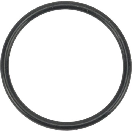 O-ring s26.0 24341000260 ORIGINALE TUFF TORQ | Newgardenstore.eu