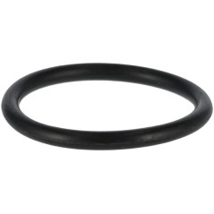 P32 O-Ring 24311000320 ORIGINAL TUFF TORQ | Newgardenstore.eu