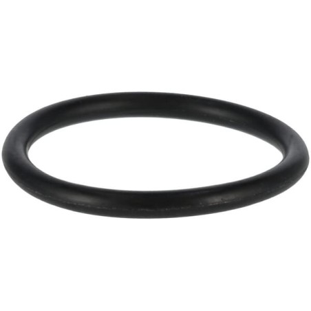 P32 O-Ring 24311000320 ORIGINAL TUFF TORQ | Newgardenstore.eu