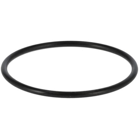 O-Ring 24341000390 ORIGINAL TUFF TORQ | Newgardenstore.eu