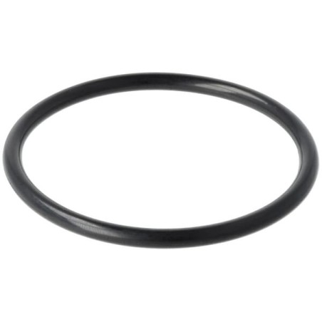 Getriebedichtung, G 45.0 24321000450 ORIGINAL TUFF TORQ | Newgardenstore.eu
