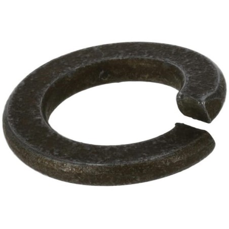 Spring washer 10 22217100000 ORIGINAL TUFF TORQ | Newgardenstore.eu