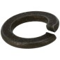 Rondella elastica 10 22217100000 ORIGINALE TUFF TORQ