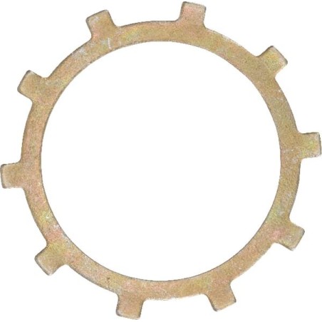 Anello sicur.alberi 1.0 BDR302 50650HYD ORIGINALE Hydro-Gear | Newgardenstore.eu