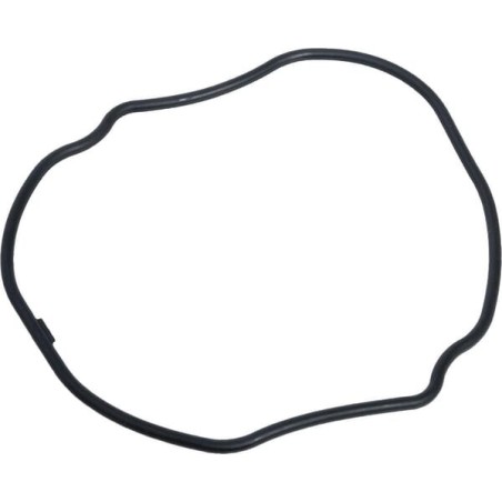 O-ring per alloggiamento rotondo 54022HYD ORIGINALE Hydro-Gear | Newgardenstore.eu